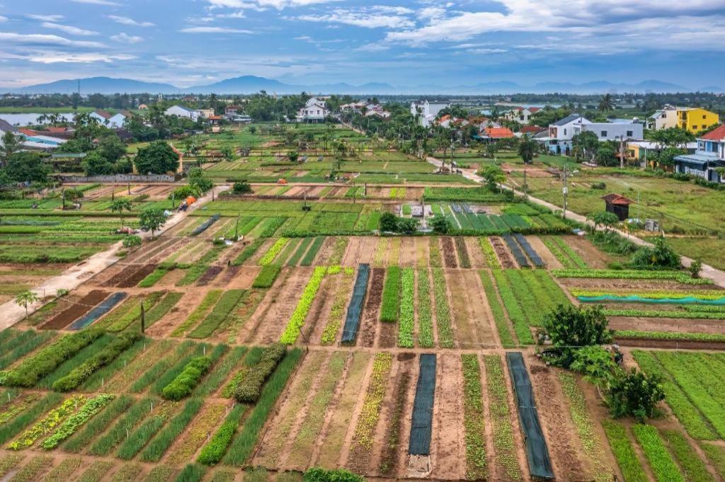 Hoi An Ht Villa And Hostel Zewnętrze zdjęcie